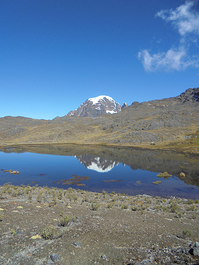 Bolivia Festival Image 3