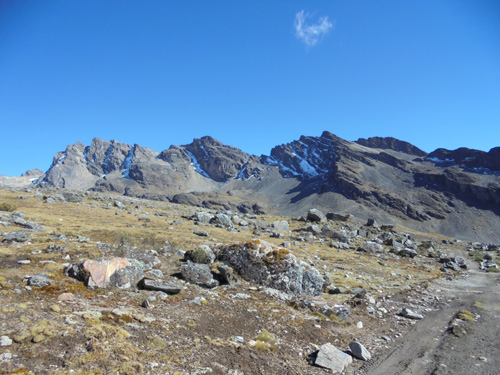 Bolivia Festival Image 4